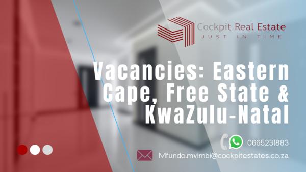 If you would like to acquire a new store for your business, please download the attached Vacancy schedule for the following areas:

1) Free State,
2) Eastern Cape and
3) KwaZulu Natal.

We have a wide variety of options which you can choose from. For more information please contact us.